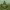 https://res.cloudinary.com/billionhands/image/upload/v1774916854/items/p36wwt5iua05twtzuqbc.jpg-0cover