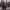https://res.cloudinary.com/billionhands/image/upload/v1774916866/items/xmus3xotozemeohu3cmg.jpg-3cover