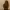 https://res.cloudinary.com/billionhands/image/upload/v1774917995/items/vzwls7yyk4jchptzglei.jpg-0cover