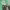 https://res.cloudinary.com/billionhands/image/upload/v1774917996/items/ndaczqyggti0grz77tkn.png-1cover