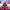 https://res.cloudinary.com/billionhands/image/upload/v1774919205/items/yzfcatldkqvmhm3goub4.jpg-3cover