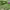 https://res.cloudinary.com/billionhands/image/upload/v1774919509/items/uhls4panexh6qe9frvqg.jpg-3cover