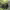 https://res.cloudinary.com/billionhands/image/upload/v1774919521/items/cwmeauslvfm0pinxp7up.jpg-3cover