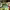 https://res.cloudinary.com/billionhands/image/upload/v1774919522/items/k38o97wqlpr1sysi1fvi.jpg-1cover
