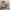 https://res.cloudinary.com/billionhands/image/upload/v1774919528/items/wbtgh0dbpuudjmq7fw7t.webp-0cover