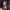 https://res.cloudinary.com/billionhands/image/upload/v1774919535/items/c5qvbsxjmodsdvaox90n.jpg-3cover