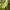 https://res.cloudinary.com/billionhands/image/upload/v1774919571/items/lpzziwlksqtojlgmidzi.jpg-0cover