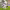 https://res.cloudinary.com/billionhands/image/upload/v1774919571/items/o8rzae8hcz5gopaftjrt.jpg-0cover
