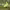 https://res.cloudinary.com/billionhands/image/upload/v1774919575/items/bgawzxfctv8sqne0ter4.jpg-3cover