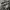 https://res.cloudinary.com/billionhands/image/upload/v1774919616/items/pbybfe4ilrnz518veteu.jpg-3cover
