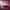 La Nube Rosa (The Pink Cloud) (2021) cover