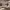 https://res.cloudinary.com/billionhands/image/upload/v1774920588/items/b07zozmwqkjihmvxt4vr.webp-0cover