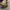 https://res.cloudinary.com/billionhands/image/upload/v1774920594/items/pylo71cmfwkdxez0fy3k.webp-2cover