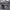 https://res.cloudinary.com/billionhands/image/upload/v1774920873/items/vlb1qinkshqw1byswgmn.jpg-2cover