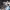 https://res.cloudinary.com/billionhands/image/upload/v1774920968/items/lfdyitfemkmev1mbyqut.webp-2cover