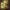 Holy Paladin (World of Warcraft) cover