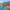 Camogli (Genoa, Liguria) cover