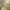 https://res.cloudinary.com/billionhands/image/upload/v1774922722/items/bbswmcuirm9gjng6ialg.webp-3cover