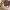 https://res.cloudinary.com/billionhands/image/upload/v1774923223/items/zukayzlpngijsgncso3s.jpg-3cover