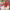https://res.cloudinary.com/billionhands/image/upload/v1774924135/items/vkqy0k4eflzyopmknabc.webp-2cover