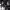 https://res.cloudinary.com/billionhands/image/upload/v1774924426/items/h1rxro3uirfeuxgbhsjj.jpg-2cover