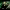 https://res.cloudinary.com/billionhands/image/upload/v1774924670/items/yv8ibbladvomqhrnu69n.jpg-1cover