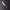 https://res.cloudinary.com/billionhands/image/upload/v1774924684/items/elf7rwfsatnjem2vraqg.jpg-3cover