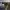 https://res.cloudinary.com/billionhands/image/upload/v1774924707/items/cfn8fk19fbb7kurxlckg.jpg-0cover