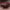 https://res.cloudinary.com/billionhands/image/upload/v1774924722/items/hqy72waghdc4vvafsyeo.jpg-2cover