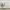 https://res.cloudinary.com/billionhands/image/upload/v1774924797/items/tp42mkfyzldc78qyyeqf.jpg-2cover