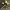 https://res.cloudinary.com/billionhands/image/upload/v1774925435/items/mjhxqqumsloxctikrhu5.jpg-1cover