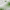https://res.cloudinary.com/billionhands/image/upload/v1774925556/items/xf2lef3wyqza1ep3n0qq.jpg-2cover