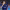 Alessandro Bastoni cover