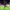 https://res.cloudinary.com/billionhands/image/upload/v1774925868/items/xtdyswt0bnb25x6ms7vs.webp-3cover