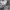 https://res.cloudinary.com/billionhands/image/upload/v1774926296/items/fvnr5mlxwez3op3mk3m0.webp-2cover