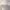 https://res.cloudinary.com/billionhands/image/upload/v1774926297/items/qsuivorv6ompbkaqzj51.jpg-1cover