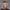 https://res.cloudinary.com/billionhands/image/upload/v1774926702/items/lduok71wtjaqadxd0qj6.jpg-2cover