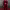 https://res.cloudinary.com/billionhands/image/upload/v1774926708/items/nkrvsddfkrcegedvkxgc.webp-2cover