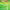 https://res.cloudinary.com/billionhands/image/upload/v1774926817/items/crgo6czv8wwxmhngszwv.webp-2cover