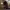 https://res.cloudinary.com/billionhands/image/upload/v1774927750/items/fokms1gvdbp5uuezrwor.jpg-3cover