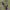 https://res.cloudinary.com/billionhands/image/upload/v1774927764/items/ndiiy47m8d4inrhvqm6v.webp-2cover