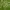 https://res.cloudinary.com/billionhands/image/upload/v1774927777/items/gpqvubbwoaf25xdpk0tk.webp-1cover