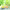 https://res.cloudinary.com/billionhands/image/upload/v1774928766/items/gvpbazpmpf9i4mnrzjoi.webp-3cover