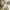 Deliciously Ella (Ella Mills) cover