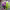 https://res.cloudinary.com/billionhands/image/upload/v1774929143/items/zx4igxojvfwzvyhtzvlc.jpg-3cover