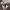 https://res.cloudinary.com/billionhands/image/upload/v1774993838/items/nhes0wzm6bjqfp1uyvmv.jpg-1cover