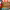 https://res.cloudinary.com/billionhands/image/upload/v1775003014/items/z4wqv5qiulcnpp0mjlsi.png-0cover