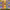 https://res.cloudinary.com/billionhands/image/upload/v1775003017/items/kduanzspq9cxxapiqjhy.jpg-1cover