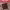 https://res.cloudinary.com/billionhands/image/upload/v1775004246/items/yxqua9m40b3hgczhobwq.jpg-3cover