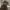 https://res.cloudinary.com/billionhands/image/upload/v1775004266/items/soumsghmdsif4vwrglzf.webp-2cover